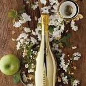 Quasi 2 mila euro ad ogni dipendente Bottega