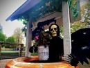Pumpkin and Sweet: Halloween al Villaggio delle Zucche PuraVida Farm di San Martino Siccomario