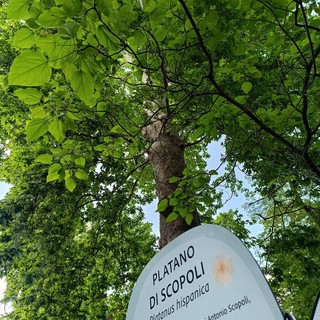 Sabato 24 maggio all’Orto botanico di Pavia  “Biodiversità da scoprire, conoscere, diffondere”