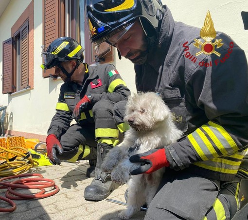Vellezzo Bellini: cane rimane incastrato sotto a un'auto, liberato dai Vigili del fuoco