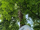 Sabato 24 maggio all’Orto botanico di Pavia “Biodiversità da scoprire, conoscere, diffondere” Sabato 24 maggio all’Orto botanico di Pavia “Biodiversità da scoprire, conoscere, diffondere”