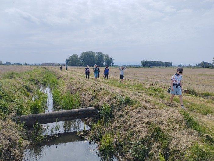 Passeggiata da Suardi all'abbazia di Acqualunga, le immagini