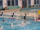 Pallanuoto, tris di vittorie per le squadre dell'H2Sport Vigevano