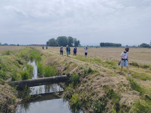 Passeggiata da Suardi all'abbazia di Acqualunga, le immagini