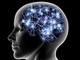 Come prevenire l'invecchiamento cerebrale: importante scoperta da ricercatori dell'Università di Torino