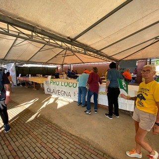 Partita la tre giorni di "Benvenuti in Lomellina", eventi per scoprire i tesori della terra del riso
