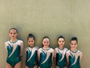 Ginnastica, le giovani atlete della Costanza Massucchi Mortara conquistano la top ten nel campionato individuale silver