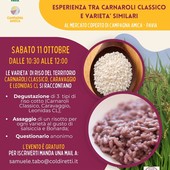 Riso, Coldiretti celebra gli 80 anni del Carnaroli Classico e svela le differenze con i suoi “fratelli” moderni