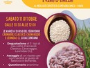 Riso, Coldiretti celebra gli 80 anni del Carnaroli Classico e svela le differenze con i suoi “fratelli” moderni Riso, Coldiretti celebra gli 80 anni del Carnaroli Classico e svela le differenze con i suoi “fratelli” moderni