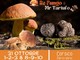 Buonissima la prima per “Re Fungo e Mr. Tartufo” a Corsico. L’evento gastronomico prosegue il prossimo weekend Buonissima la prima per “Re Fungo e Mr. Tartufo” a Corsico. L’evento gastronomico prosegue il prossimo weekend