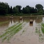 Maltempo: forti piogge nel Varesotto, esondato il fiume Olona