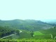 “Domenica rosa in cascina” tra pigiatura con i piedi e pranzo nei vigneti