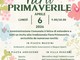 Riportare la tradizione: Castano Primo scommette sulla Fiera Primaverile tra innovazione e partecipazione
