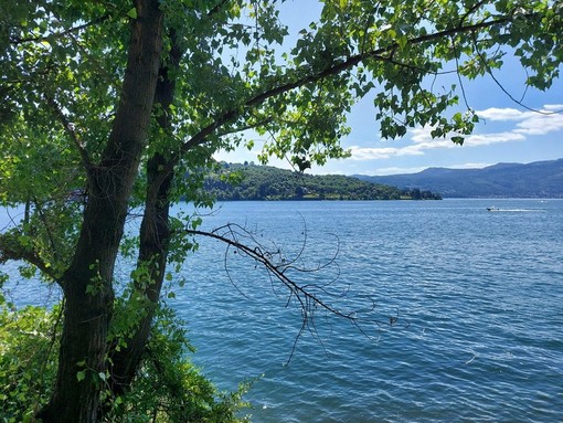 Uno scorcio del Lago Maggiore