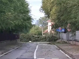 Maltempo: oltre 270 interventi dei vigili del fuoco in Lombardia Maltempo: oltre 270 interventi dei vigili del fuoco in Lombardia