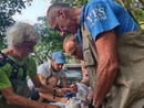 Cassolnovo, così nascono gli storioni del Ticino Cassolnovo, così nascono gli storioni del Ticino