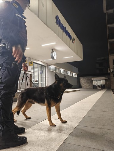 Sicurezza in provincia: in settimana tre operazioni di controllo straordinario del territorio tra Pavia e Vigevano. Rafforzati i presidi nelle aree sensibili e nei luoghi della movida