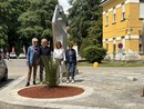 Pavia, San Matteo: nuova pianta perenne donata dal Lions Club Pavia Le Torri Pavia, San Matteo: nuova pianta perenne donata dal Lions Club Pavia Le Torri