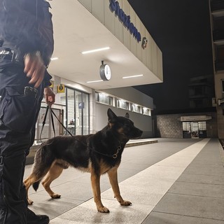 Sicurezza in provincia: in settimana tre operazioni di controllo straordinario del territorio tra Pavia e Vigevano. Rafforzati i presidi nelle aree sensibili e nei luoghi della movida