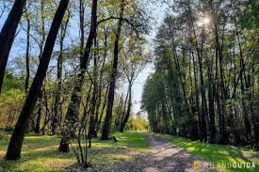 A Pavia il WWF organizza una passeggiata nel Parco della Vernavola
