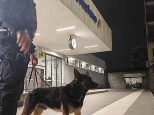 Sicurezza in provincia: in settimana tre operazioni di controllo straordinario del territorio tra Pavia e Vigevano. Rafforzati i presidi nelle aree sensibili e nei luoghi della movida Sicurezza in provincia: in settimana tre operazioni di controllo straordinario del territorio tra Pavia e Vigevano. Rafforzati i presidi nelle aree sensibili e nei luoghi della movida