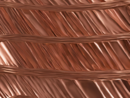 (foto creata con l'intelligenza artificiale)