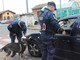 Vigevano: Proseguono le operazioni di controllo sul territorio della Polizia Locale