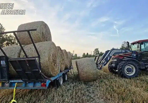 Incidenti sul lavoro: travolto da rotoballe, morto 43enne nell’Alessandrino