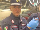 Serpente sul Frecciarossa diretto a Milano: panico tra i passeggeri, treno evacuato