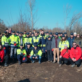 Microsoft Italia e Rete Clima insieme per il Parco del Ticino: l’Isola dell’Ochetta rinasce dopo gli schianti del 2023