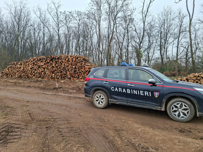 Operazioni dei Carabinieri Forestali nei boschi del Milanese: accertati abusi a Villa Cortese e nel PLIS del Roccolo