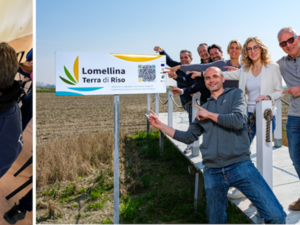 "Di Riso in Riso", in Lomellina | evento diffuso nelle aziende agricole del progetto "Lomellina terra di Riso" "Di Riso in Riso", in Lomellina | evento diffuso nelle aziende agricole del progetto "Lomellina terra di Riso"