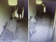 Saronno: i ladri ridono alle telecamere, la vittima manda le foto al sindaco Saronno: i ladri ridono alle telecamere, la vittima manda le foto al sindaco