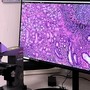 Progetto Pnrr anatomia patologica digitale: ASST Pavia installa i nuovi scanner per vetrini istologici negli ospedali di Vigevano e Voghera