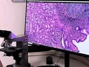 Progetto Pnrr anatomia patologica digitale: ASST Pavia installa i nuovi scanner per vetrini istologici negli ospedali di Vigevano e Voghera Progetto Pnrr anatomia patologica digitale: ASST Pavia installa i nuovi scanner per vetrini istologici negli ospedali di Vigevano e Voghera