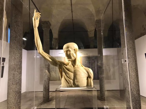 - FOTONOTIZIA - Vigevano: taglio del nastro per la mostra &quot;Leonardo da Vinci e Guido da Vigevano: anatomia in figure&quot;