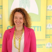 Gasolio, arriva il credito d’imposta per le aziende agricole Gasolio, arriva il credito d’imposta per le aziende agricole