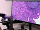 Progetto Pnrr anatomia patologica digitale: ASST Pavia installa i nuovi scanner per vetrini istologici negli ospedali di Vigevano e Voghera