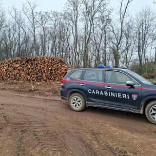 Operazioni dei Carabinieri Forestali nei boschi del Milanese: accertati abusi a Villa Cortese e nel PLIS del Roccolo