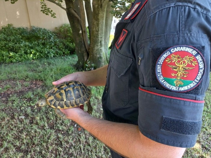 (foto d'archivio) (foto d'archivio)