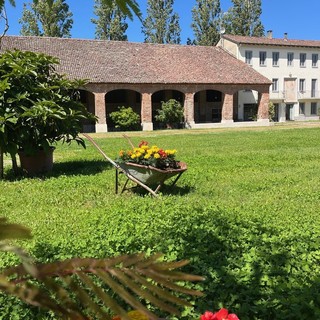 Fondazione Darefrutto: torna “Tenuta – Il Mercato della Domenica” il 10 maggio 2026 nella campagna Lomellina
