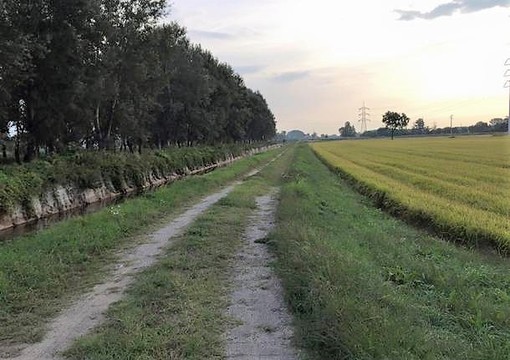 Garlasco, via Francigena è boom di camminatori che arrivano da tutto il mondo Garlasco, via Francigena è boom di camminatori che arrivano da tutto il mondo