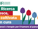 21 novembre giornata internazionale contro il tumore al pancreas, le iniziative dell'Humanitas di Rozzano 21 novembre giornata internazionale contro il tumore al pancreas, le iniziative dell'Humanitas di Rozzano