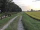 Garlasco, via Francigena è boom di camminatori che arrivano da tutto il mondo Garlasco, via Francigena è boom di camminatori che arrivano da tutto il mondo