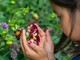 Da Viridea tornano i laboratori di natura per bambini Da Viridea tornano i laboratori di natura per bambini