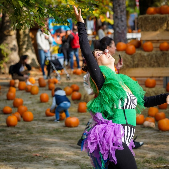 A San Martino Siccomario un altro fine settimana all’insegna della spensieratezza: al Villaggio delle Zucche è tempo di Magia! A San Martino Siccomario un altro fine settimana all’insegna della spensieratezza: al Villaggio delle Zucche è tempo di Magia!