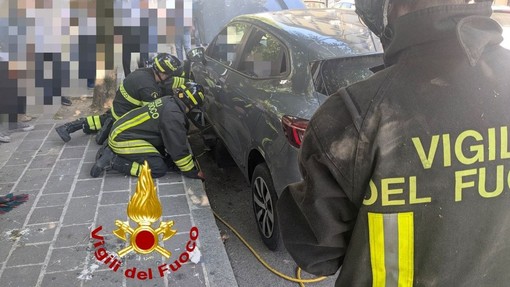 Stradella: gattini incastrati nel vano motore di un'auto, salvati dai Vigili del fuoco Stradella: gattini incastrati nel vano motore di un'auto, salvati dai Vigili del fuoco