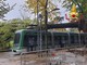 Maltempo anche a Milano: pianta crolla su un tram Maltempo anche a Milano: pianta crolla su un tram