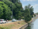 Robecco sul Naviglio: grosso albero crolla lungo via Ripa, strada chiusa Robecco sul Naviglio: grosso albero crolla lungo via Ripa, strada chiusa