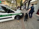 Abbiategrasso, anche le unità cinofile impegnate nell’operazione anti droga per le vie della città